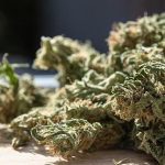 Exploring CBD Hemp Flower Products: A Complete Guide