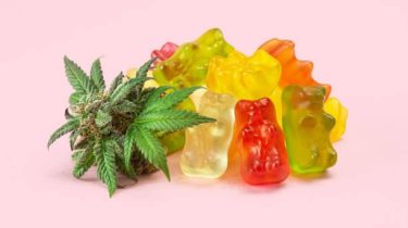 Delta 9 Gummies: How to Avoid Contaminants and Ensure a Safe Experience